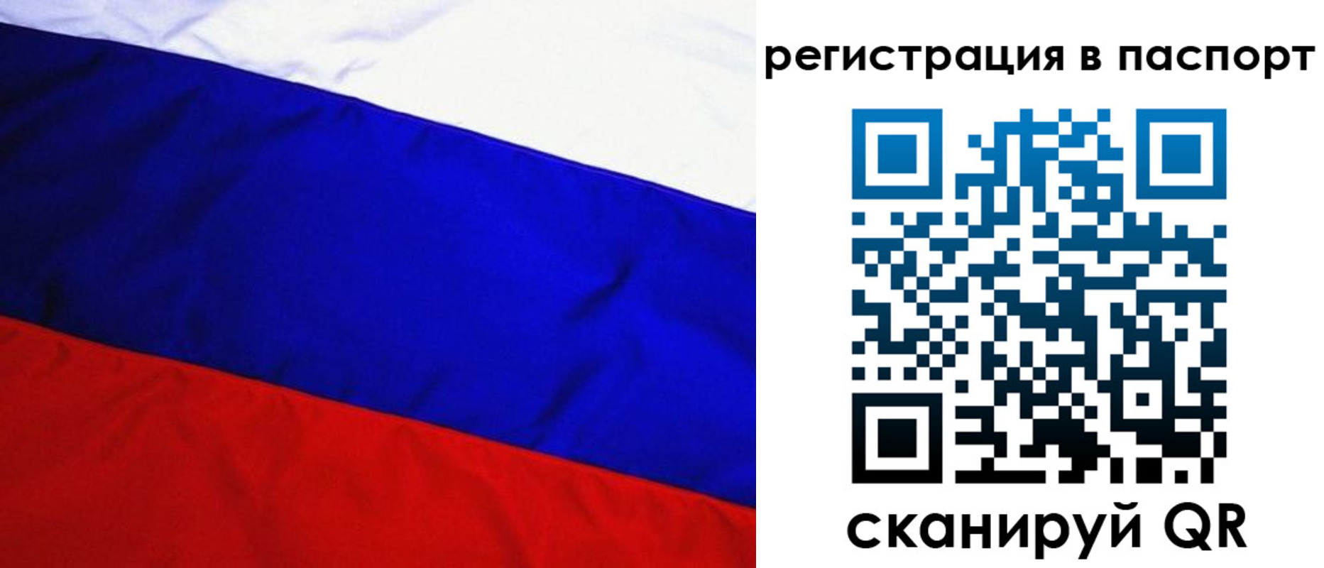форма 3 в Курской области